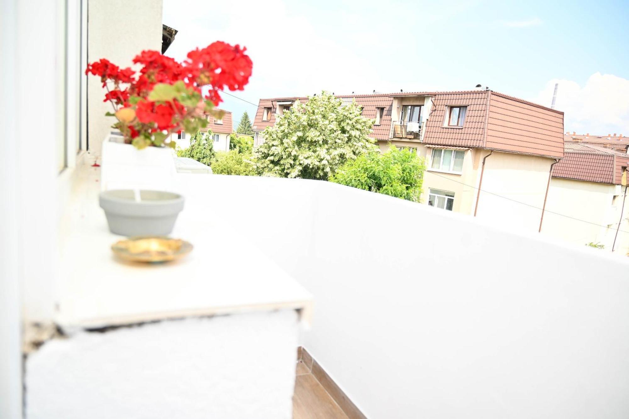 Dreambed 2 Apartment Baia Mare Luaran gambar
